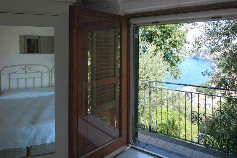 La Fenice -White House- Homeinsorrento- Massa Lubrense Zewnętrze zdjęcie